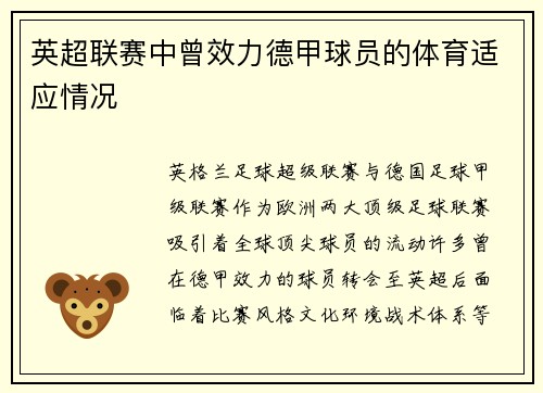 英超联赛中曾效力德甲球员的体育适应情况